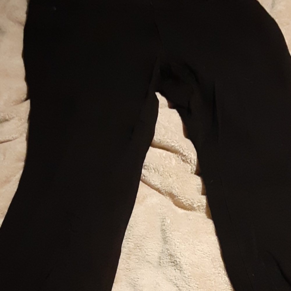 Dress pants
